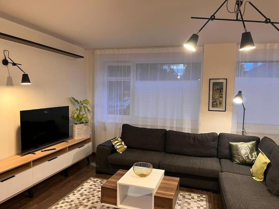 Apartment Kahe Magamistoaga Korter: Peresobiv Ja Lemmikloomasõbralik *